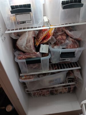 20231215_120248.jpg