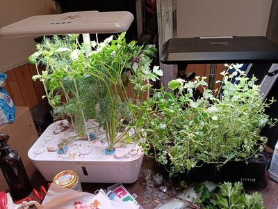 20231219_073731.jpg