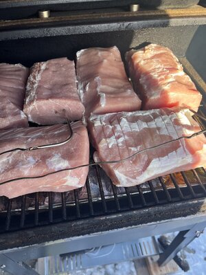 IMG_1926.jpeg