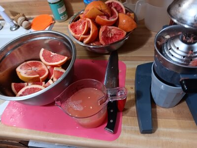 20240128_075843.jpg