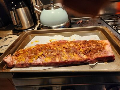 Side ribs ready to go in smoker.jpg