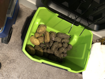 spud-3.png