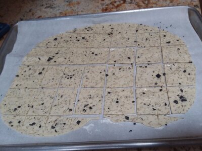 Sourdough Crackers 2021-01-27_1.jpg