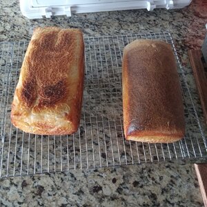 Frankie G's Classic San Francisco Sourdough Bread 2024-01-17_1.jpg
