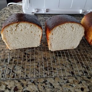 Frankie G's Classic San Francisco Sourdough Bread 2024-01-17_2.jpg