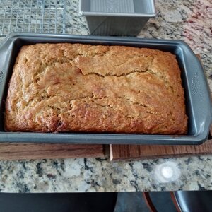 Sourdough Banana Nut Bread 2024-01-08_1.jpg