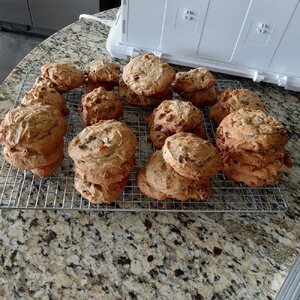 Sourdough Chocolate Chip Cookies 2024-01-11.jpg