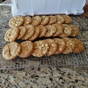 White Chocolate Macadamia Nut Cookies 2024-01-13.jpg