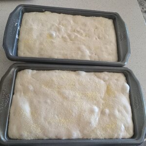 English Muffin Bread 2024-01-09_1.jpg