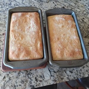 English Muffin Bread 2024-01-09_2.jpg