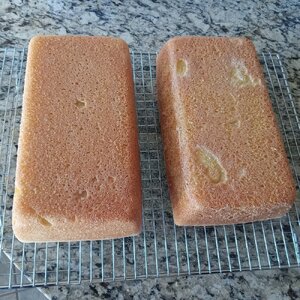 English Muffin Bread 2024-01-09_3.jpg