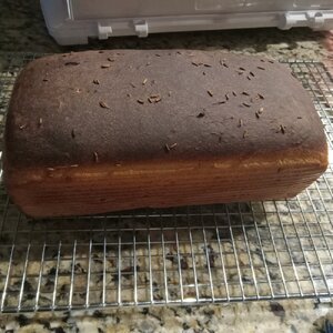 NY Deli Rye 2024-01-17_1.jpg