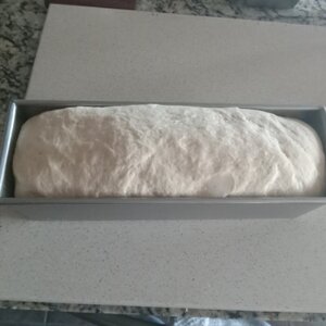 Sandwich Bread 2024-01-16_1.jpg