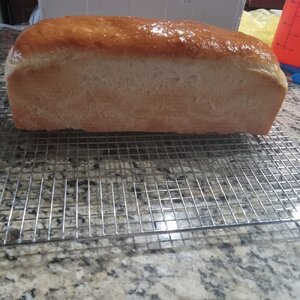 Sandwich Bread 2024-01-16_2.jpg