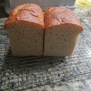 Sandwich Bread 2024-01-16_3.jpg