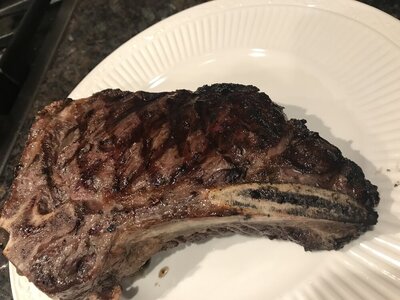 IMG_7600.jpeg