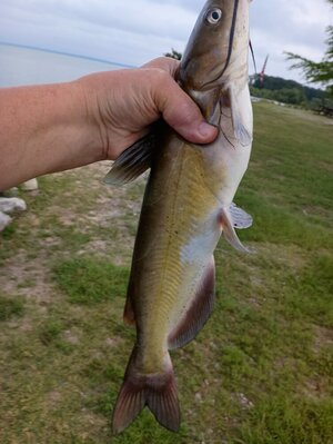 IMG_20240620_075631562.jpg