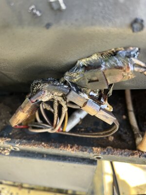 IMG_2279.jpeg