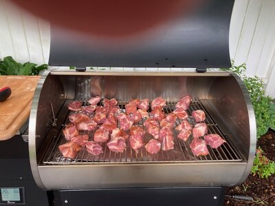 IMG_2560.jpg