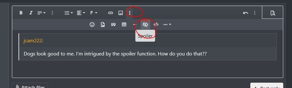 spoiler.JPG