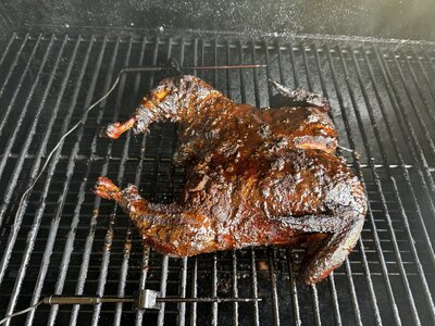 IMG_1509.jpeg