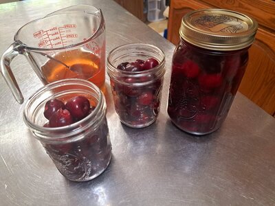 20240726_132137.jpg