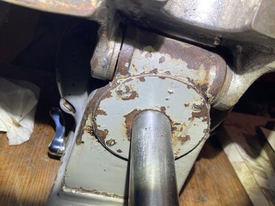 IMG_2956.jpeg