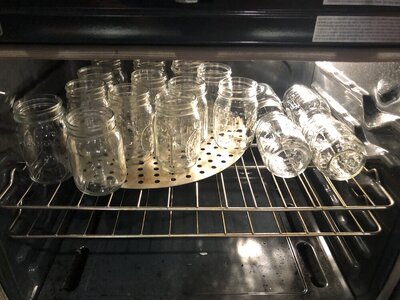 IMG_5381.jpeg