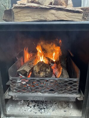 IMG_2040.jpeg