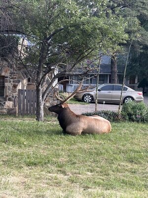 IMG_7204.jpeg