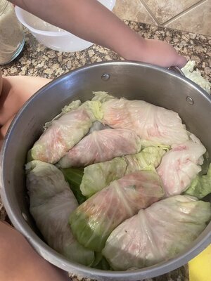 IMG_9254.jpeg