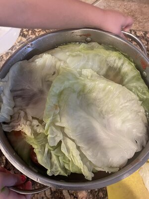 IMG_9255.jpeg