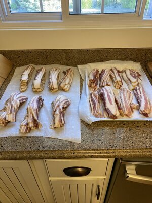 IMG_1253.jpeg