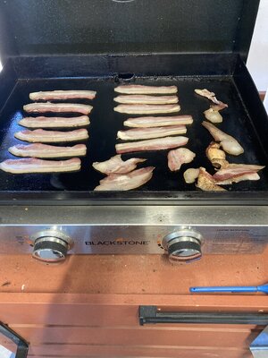 IMG_1256.jpeg
