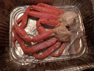 IMG_20240927_134830962.jpg