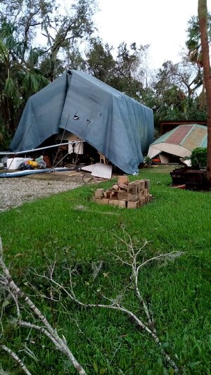 IMG_20241010_074035.jpg