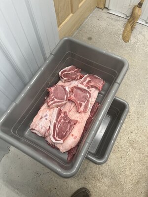 IMG_1336.jpeg