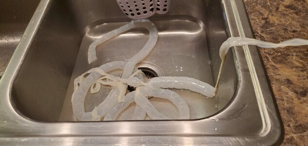 20201230_091845.jpg