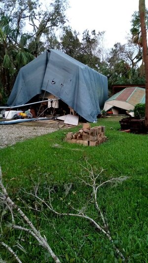 IMG_20241010_074035.jpg