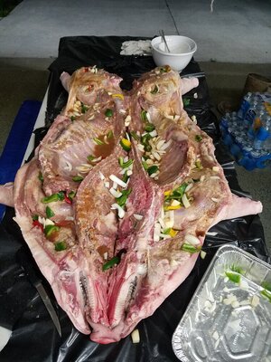 20170623_235140.jpg