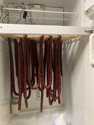 IMG_3271.jpeg