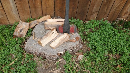 20250104_120102.jpg