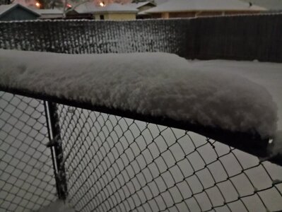 IMG_20250110_060827152.jpg