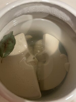 IMG_9870.jpeg