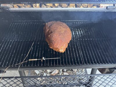 IMG_0247.jpeg