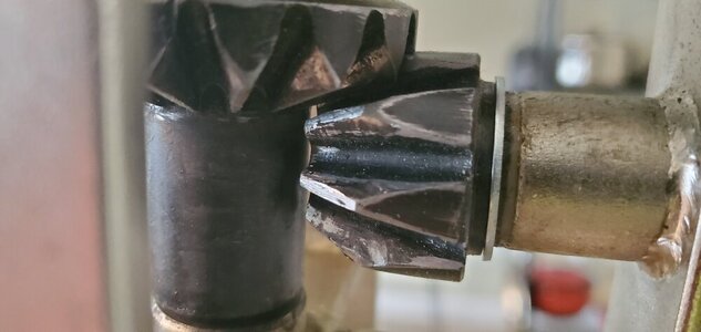 20220119_091535.jpg