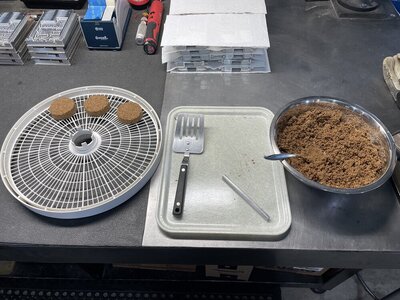 making bisquettes.JPEG