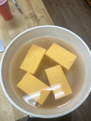 IMG_8124.jpeg
