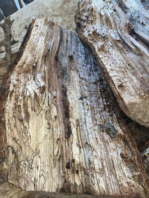 IMG_3928.jpeg