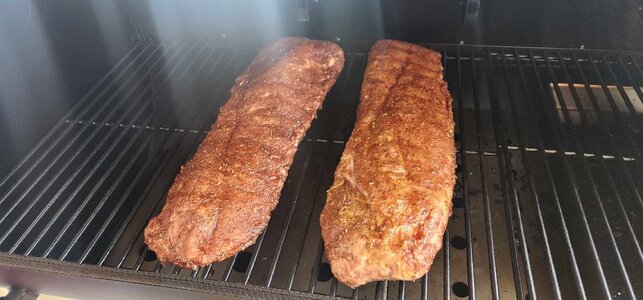 Ribs.jpg